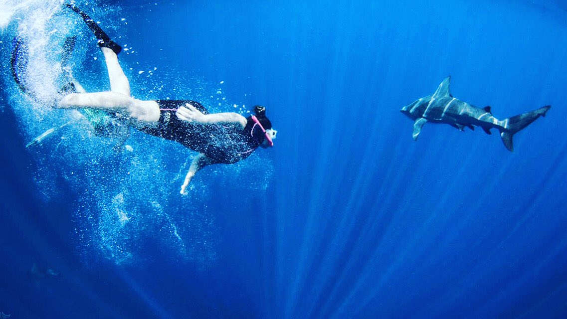divingmax1's tweet photo. What would you do for diving?

#PADI #scuba #dive #scubadiving #underwater #diver #scubadive #scubapro #mares #sportmaster #cressi #Snorkel  #Swimming #Surfing #Divinggear #Divingequipment #Divinglifestyle #Sports #Enjoy #DivingMax https://t.co/pDdx2BxG7h