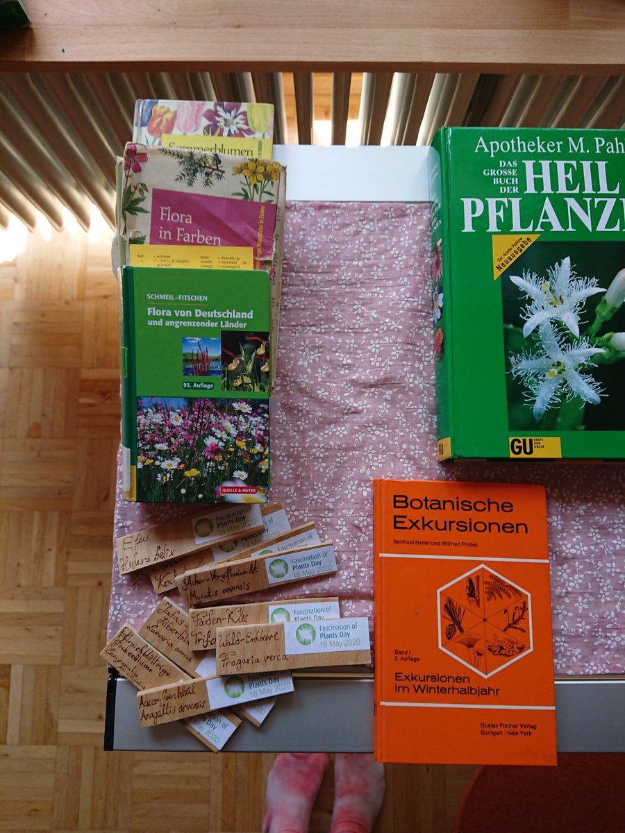 hcinragredoznaT's tweet photo. Leute, heute ist Pflanzenfaszinationstag!
#PlantDay #FoDP
Ich mache dank Corona etwas sehr Lokales um meine WG herum. Pflanzenfaszinierte Menschen können sich gerne berieseln lassen. Besonders aachener Menschen könnten positiv überrascht werden.
Ich habe da mal was vorbestimmt! https://t.co/713I3vstmo