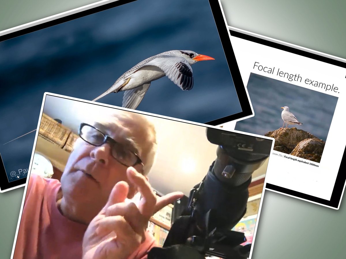 KowaOptics's tweet photo. Top #digiscoper Paul Hackett gives an insightful and inspiring webinar on the basics of #digiscoping including DSLR, Micro four thirds and smart phone. Covering simple set up advice and some great hints and tips to get you started.
https://t.co/Q7zISrBqlq https://t.co/CYQwIChg38