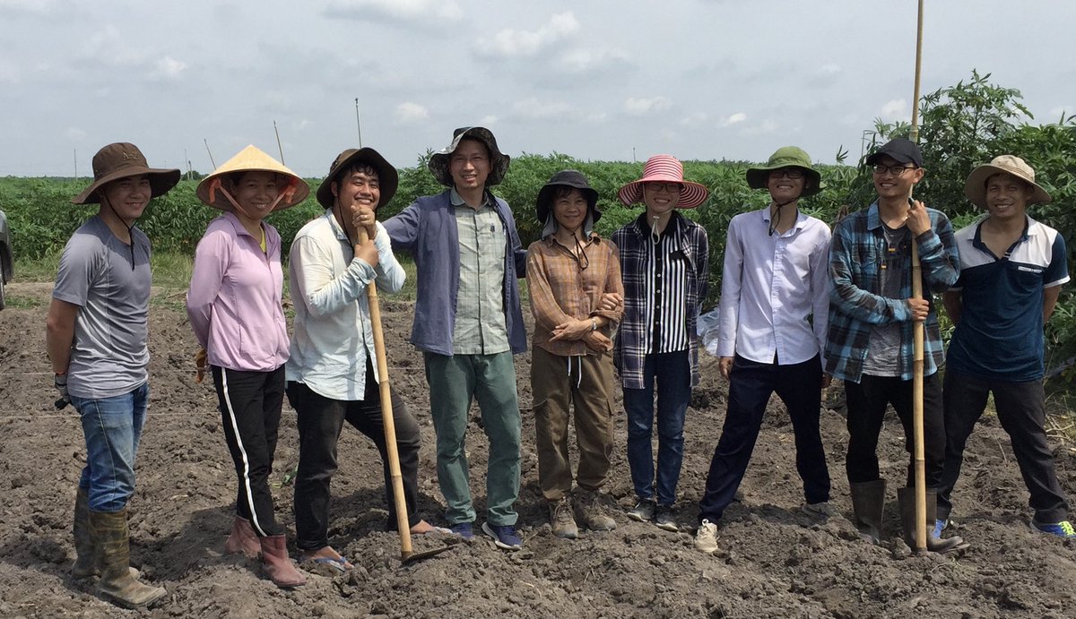 CassDiseaseAsia's tweet photo. Team π»π³ from #AGI, #HLARC & @BiovIntCIAT_eng establish screening and yield #trials in #TayNinh Province. @ACIARAustralia @RTB_CGIAR supporting the development of #CMD #resistant #cassava varieties in #Vietnam and #Asia. #VAAS; #MARD https://t.co/ZLV5I5QpgG