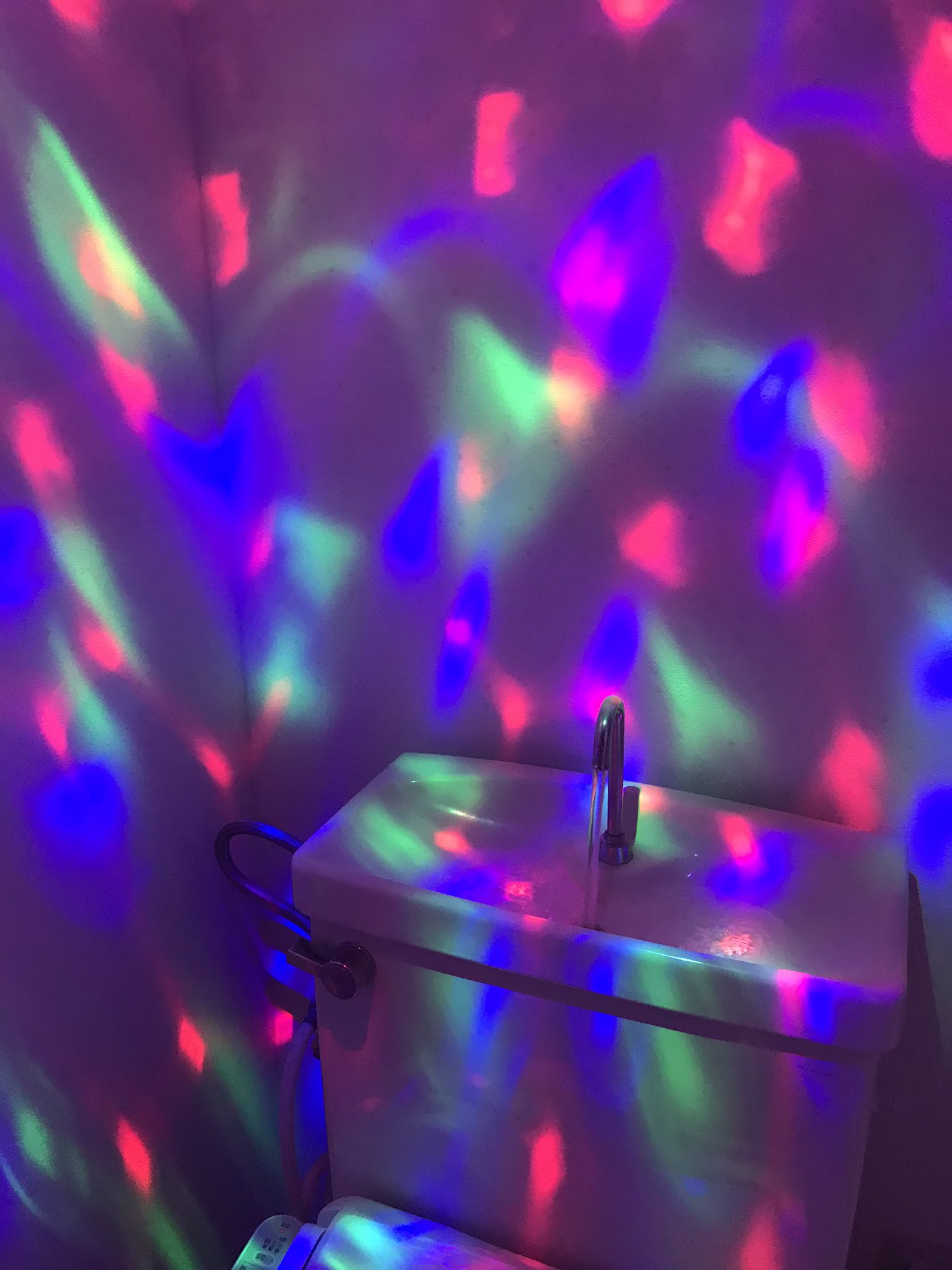 ちらいむ 在 Twitter 上 お風呂につけていたミラーボール電球をトイレに付け替え おいそれと人には貸せない最高なトイレが爆誕しました T Co Nkkyzfttxh Twitter