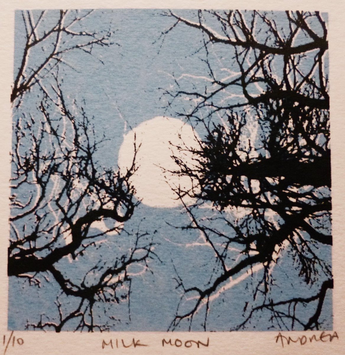 🎨Goooood Afternoooon🎨
✨Hope everyones off to a good start of the week✨
<<< Today's Print of the Day >>>
--- Milk Moon, By Andrea Robinson ---
reddotartconsultancy.co.uk/apps/webstore/…