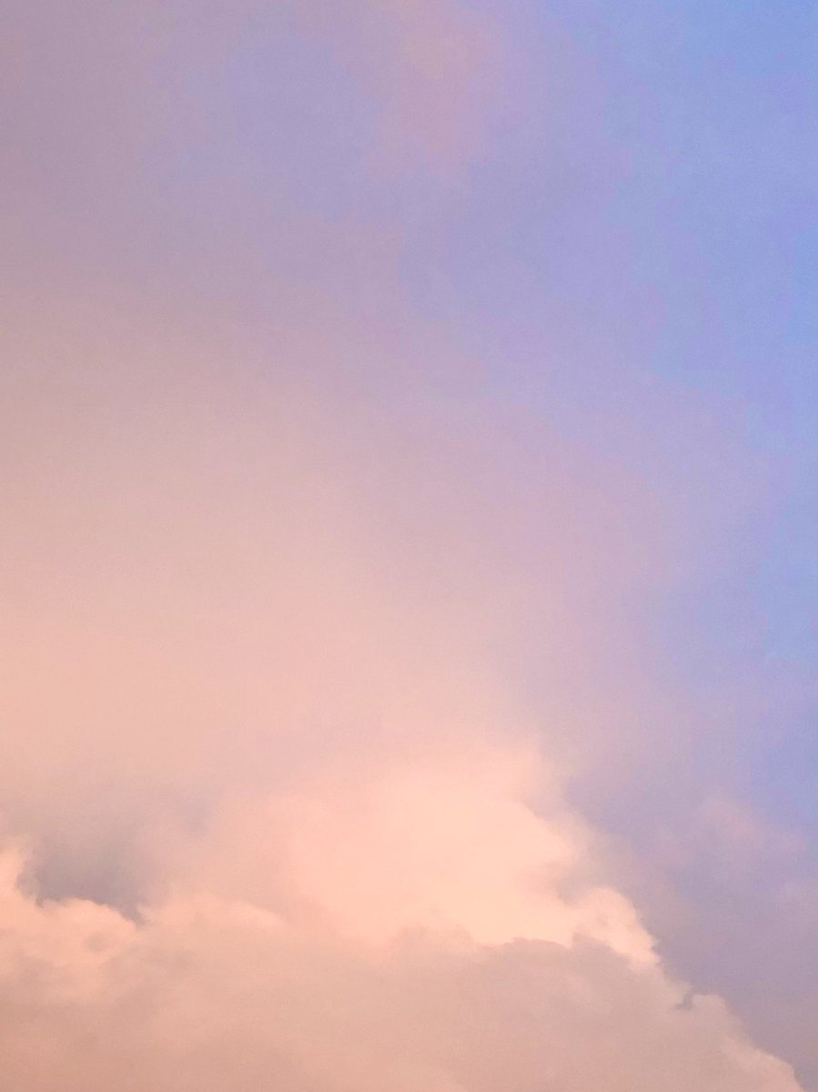 เ ว้ น ว ร ร ค ◦ soul in bloom ✿ tweet media