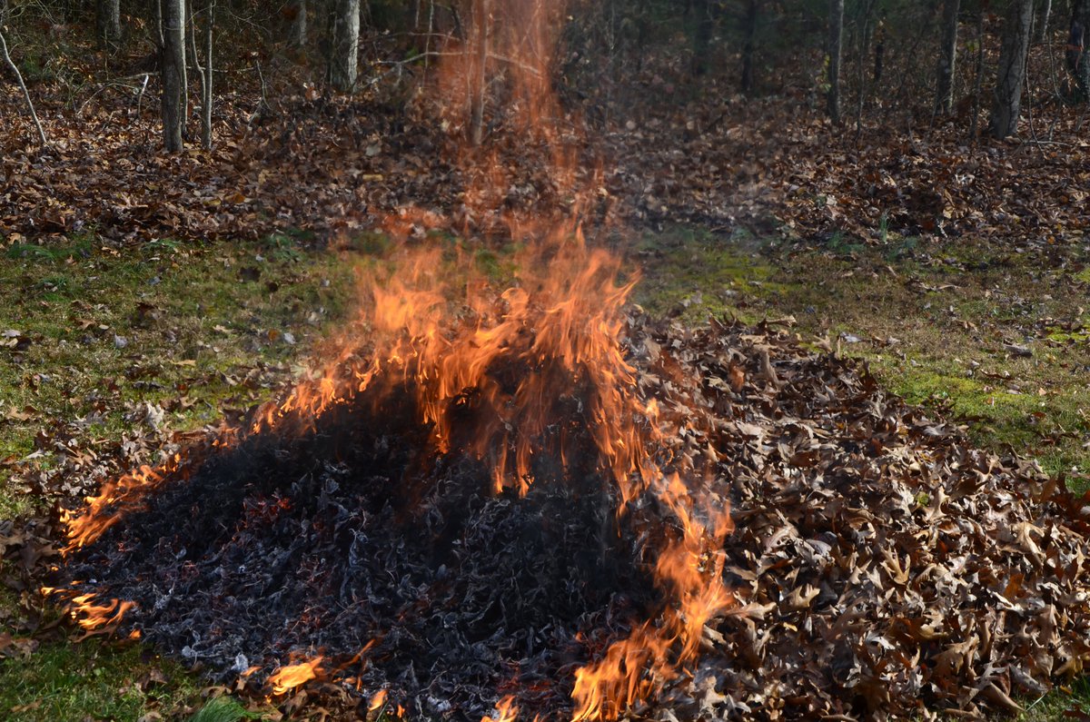 TN Dept. of Ag tweet media