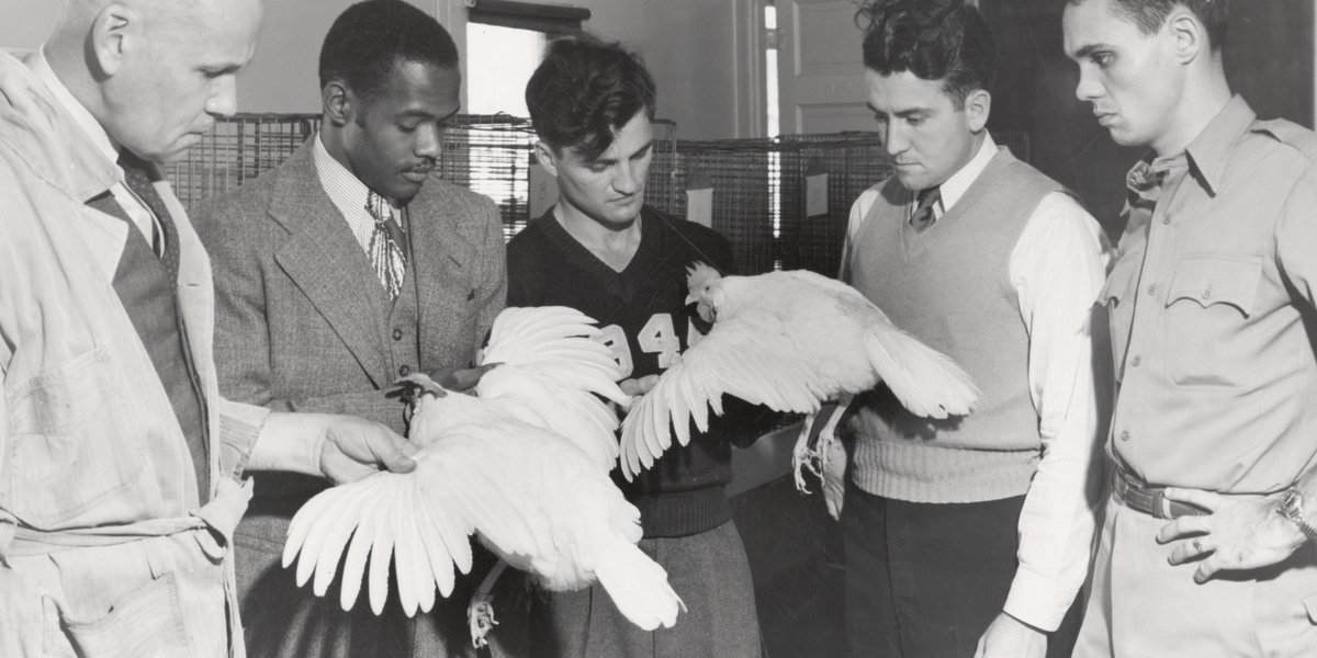 MSUAgBio's tweet image. More than 160 years after it was founded, @michiganstateu has emerged from decades of change as a global leader in agricultural and natural resources innovation, thanks to collaboration between AgBioResearch and @MSUExtension. #PowerOfPartnerships canr.msu.edu/news/research-…