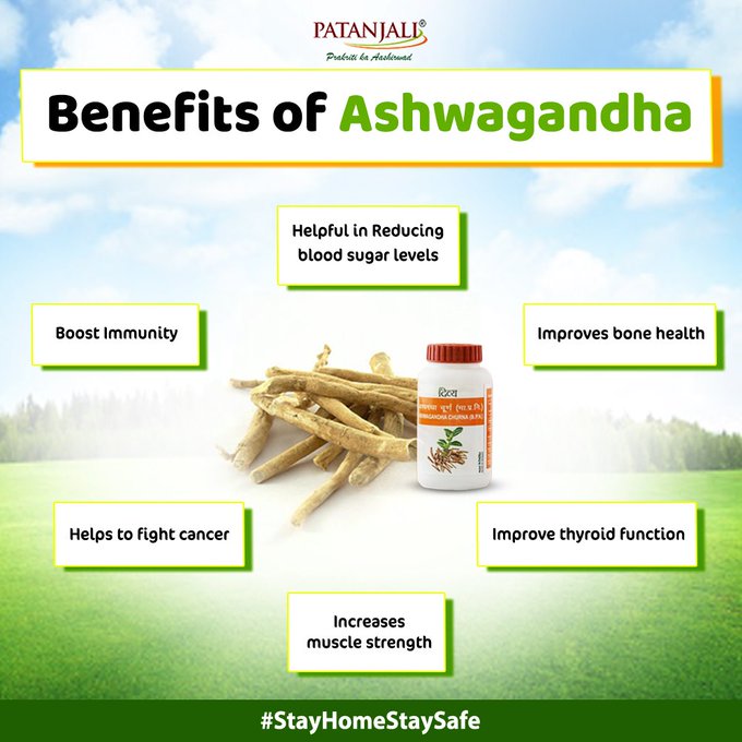 Ashwagandha helps to boost your health and treat various health problems. Its antioxidant properties helps to improve bone health, increase muscle strength and boost your immunity. #Patanjali #VocalForLocal #ImmunityBoosters #Ashwagandha