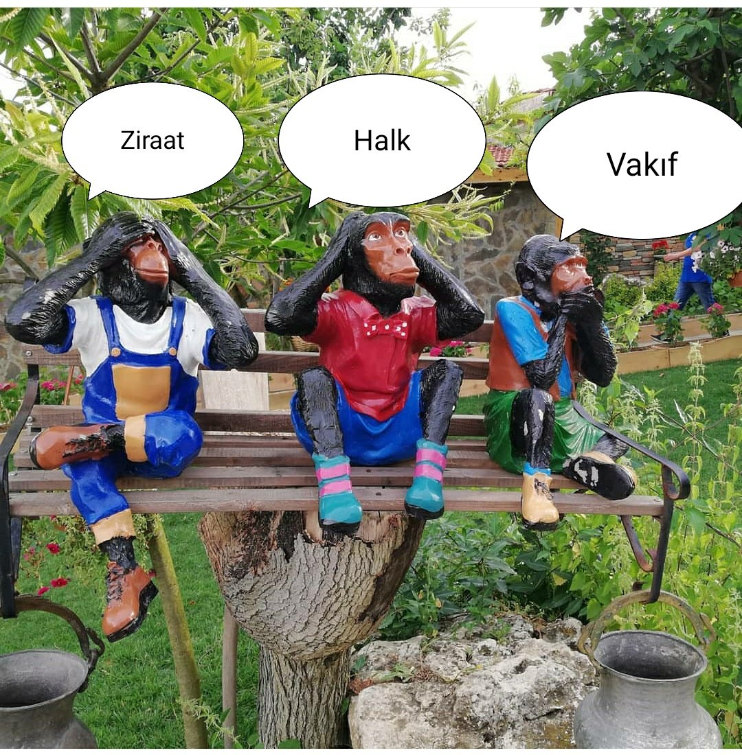 #noldukrediler 18 yasinda issiz insanlara bile verildi icralik arkadasima gozumun onunde onaylandi adaletsizlik bu baska birsey degil hibe etmiceksiniz bu kredileri odeyecegiz geri👇👇👇