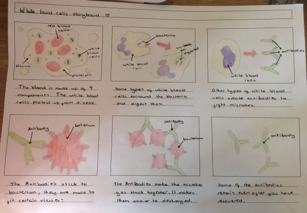 Some lovely work on viruses, immunity and vaccines from Erin, Maxim, Ella and Carys in year 8. Future scientists in the making! @TLatTMCS <a href="/mrfrankish/">MrFrankish 🥽🧪🔬🧫 ⚗</a> @TimSmithCEO <a href="/DrHarbachTMCS/">DrHarbachTMCS</a>