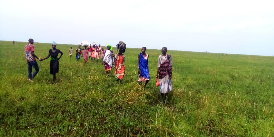 HopeRestoratio3's tweet photo. #HopeRestoration Staff in #mayendit receiving Returnees and internally displaced persons from #Panyijar with their hards of #Cattle as seen in the photos below. 14/may/2020 https://t.co/3pHlTmXSdA