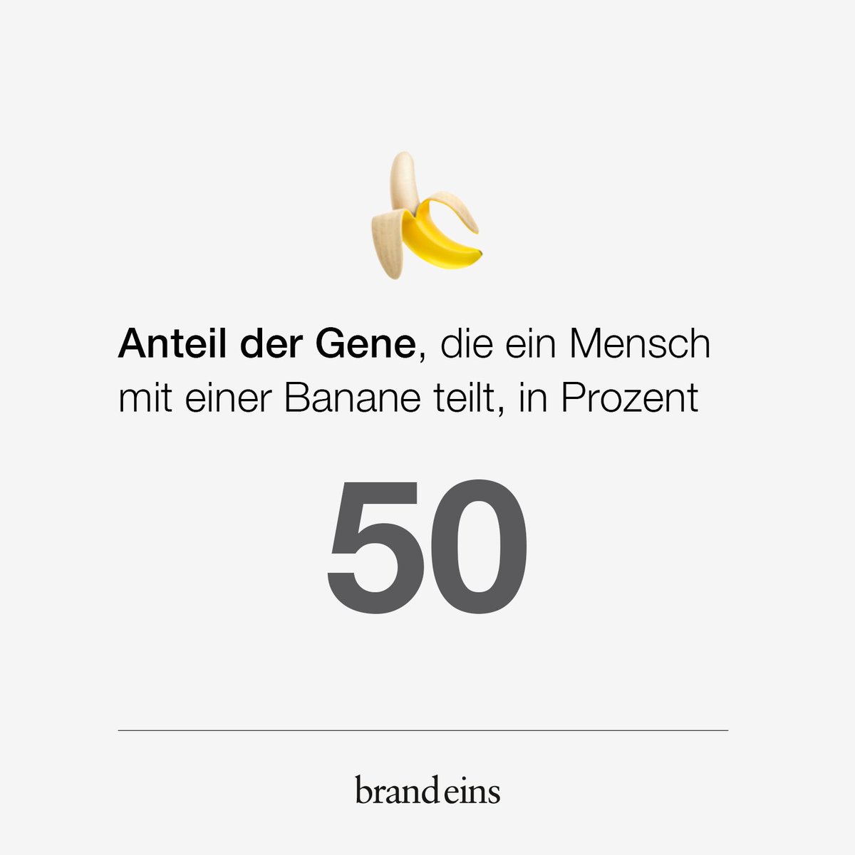 Das haben Menschen mit Bananen gemein 🍌 🚶‍♂️
Anteil der Gene, die ein Mensch mit einer Banane teilt, in Prozent: 50
Text: Holger Fröhlich