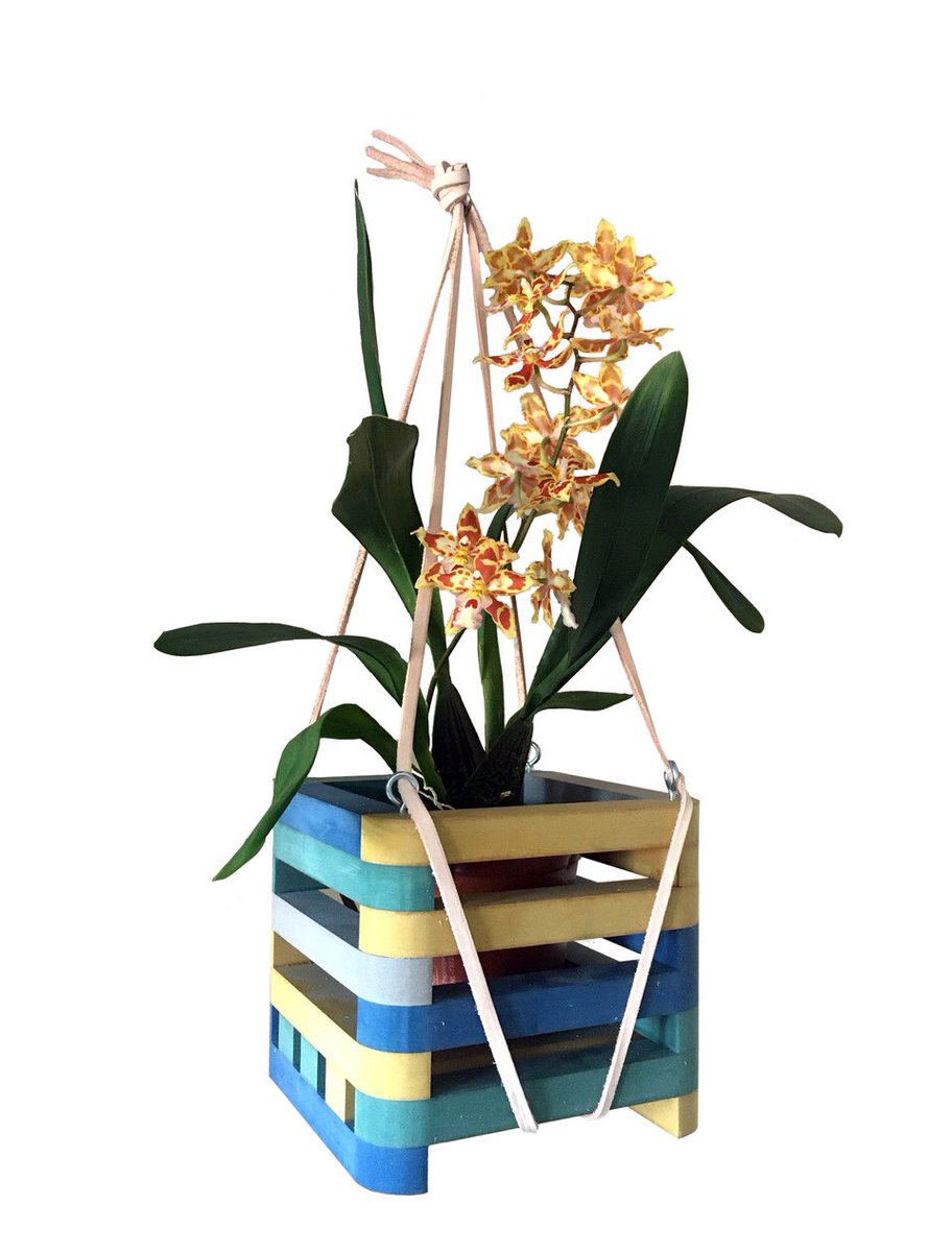 MattWestbrook's tweet photo. Join the Silent Orchid Summer School! Part of @ArtsScienceFest See full details and book now on eventbrite, taking note of postcode catchment areas. https://t.co/Ezf9L6eSri https://t.co/4N1jTPhCE3