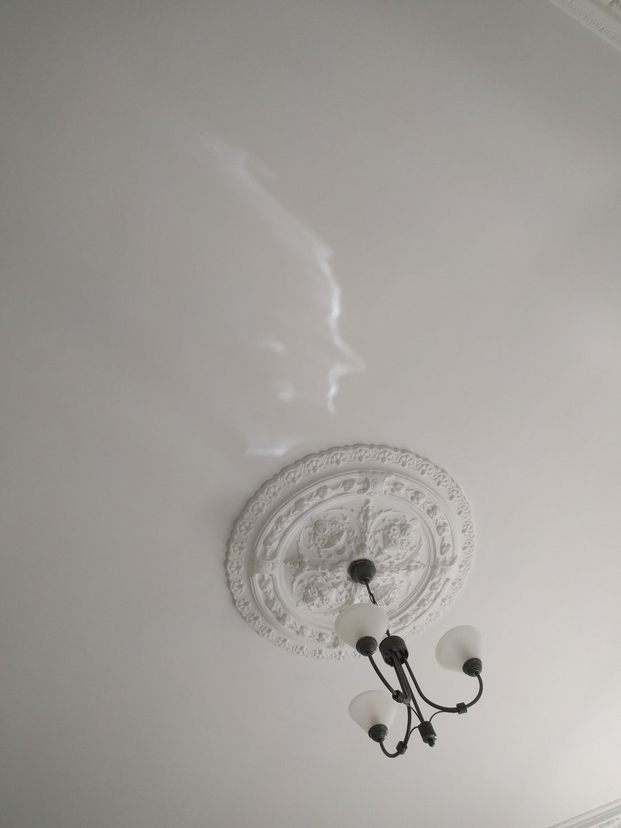 AshleyEMercer's tweet photo. #pareidolia https://t.co/4B1PMYSyCG