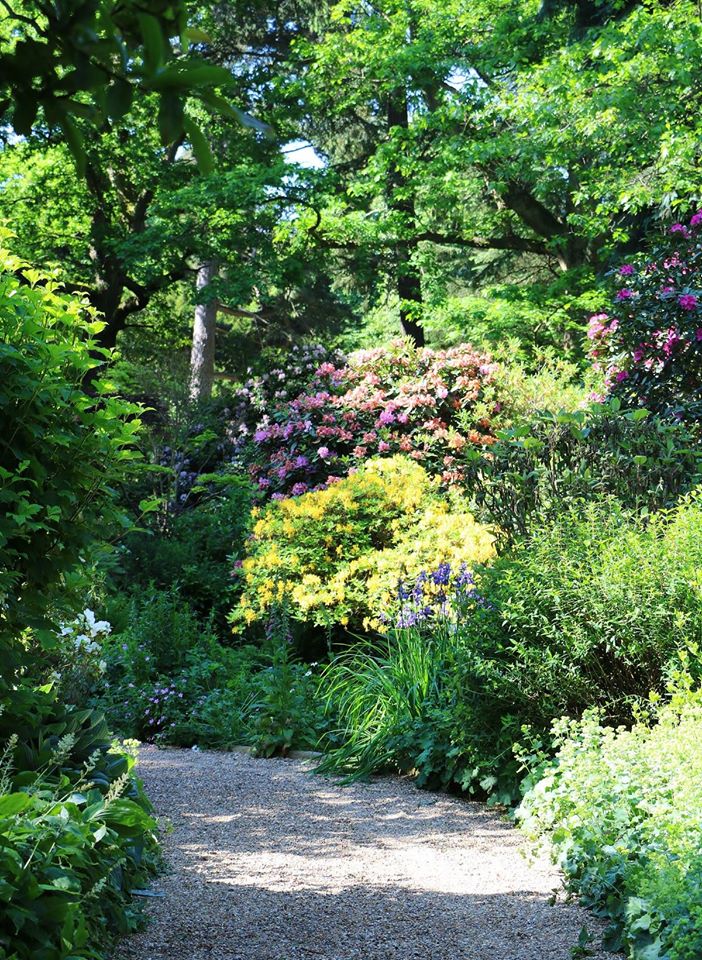 hevercastle's tweet photo. Sunday Walk is looking resplendent with azaleas, rhododendrons, irises, foxgloves and ferns π #HeverCastle #GrowThisSpring https://t.co/aQ33I6mBYE