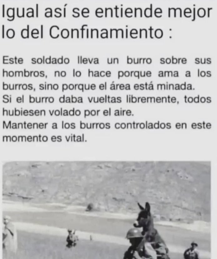 Mariano Martin-Macho tweet media
