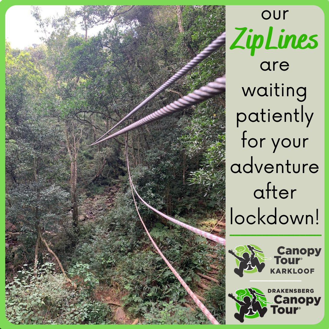 Drak Canopy Tour (@drakensbergct) on Twitter photo 