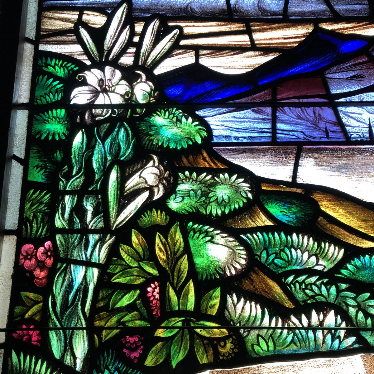 ValleyAnglicans's tweet photo. A blessed Rogation Day to all the farmers in the parish. May this be a good growing season for all of you who feed us! #rogationday #valleyanglicans https://t.co/ATixdDDRJ4