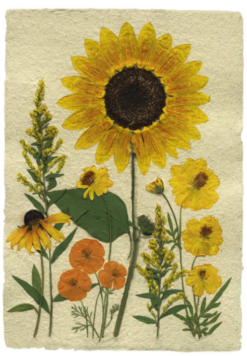 All the warm yellow and orange tones that we love in the garden… best yet, it’s ALL paper!! Meet #papermaker Thomas Siciliano and Sugarloaf’s talented artists in #Chantilly, VA’s rescheduled dates: August 21-23! secure.sugarloafcrafts.com/artists/sicili…