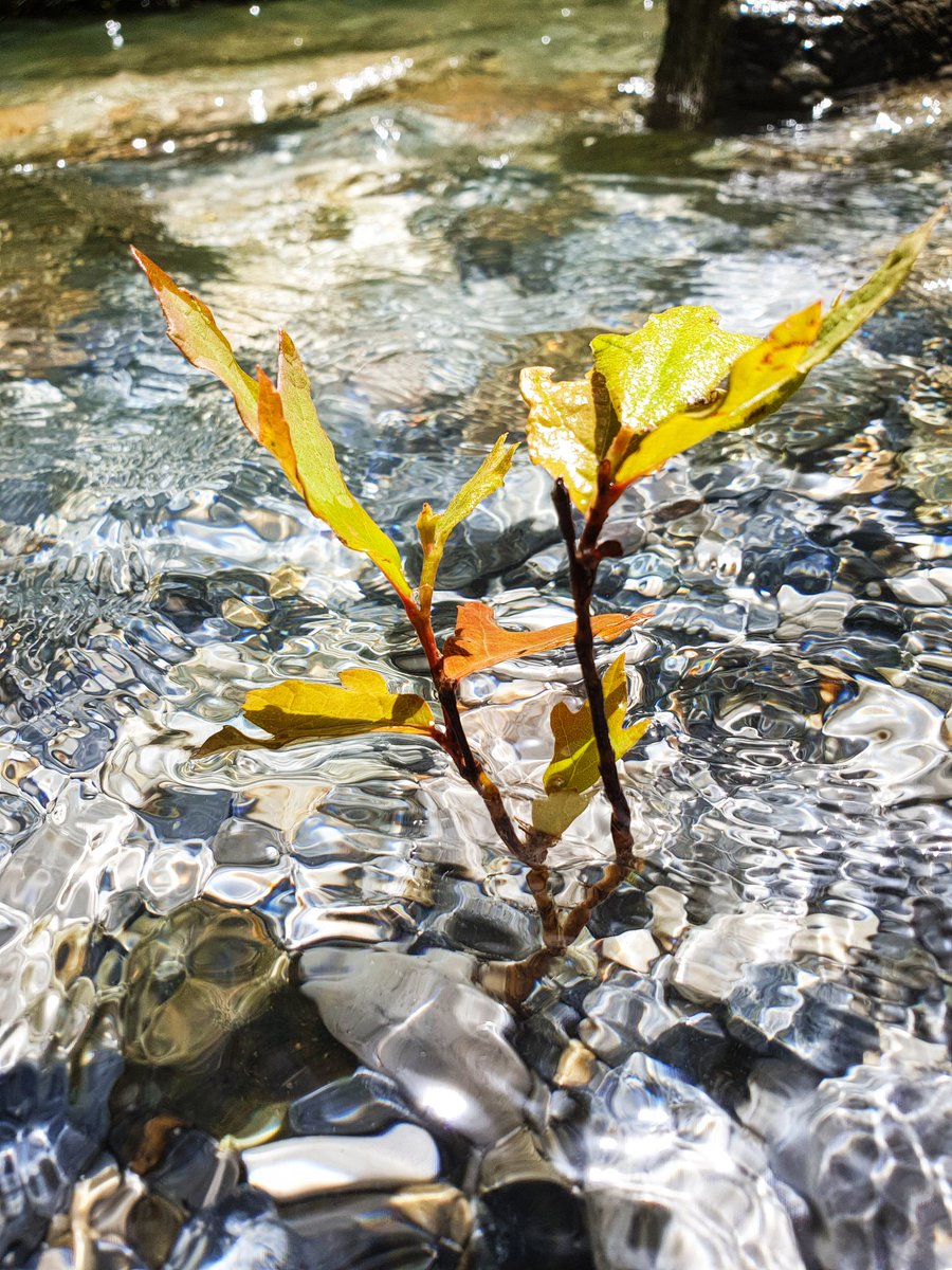altanyaman's tweet photo. Hayat suda başlar... https://t.co/sFjOIksaYa