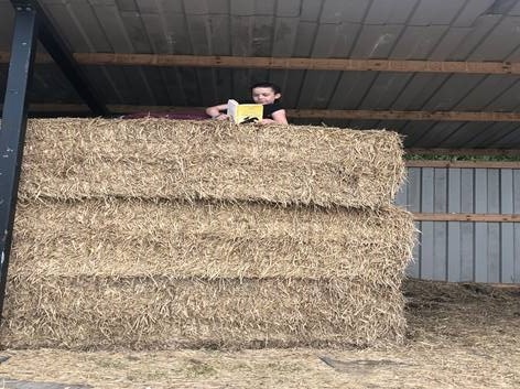 SelbyHigh's tweet photo. Erin O'Grady (7M2) has entered the 'read your book in a bizarre place' competition. You must be amazing at multi tasking Erin to ride a horse and read at the same time and how did you get up onto the hay bales?😆

Fantastic entry! Best of luck Erin and thank you for sharing👍 https://t.co/umQ5XV6Wnu