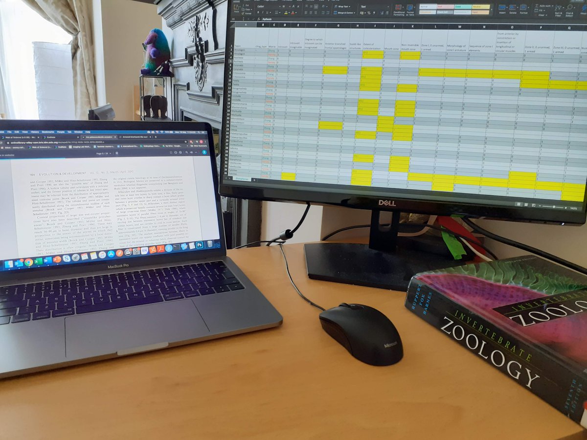 UoB Palaeobiology tweet media