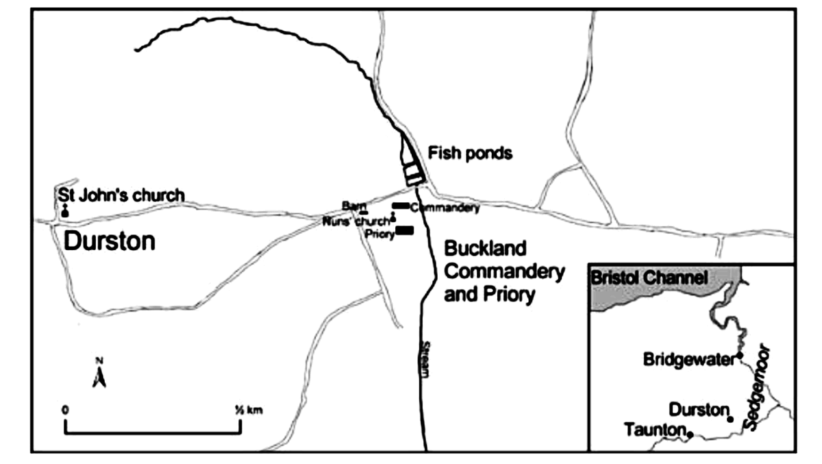 Buckland Priory is complicated because it was somehow an Austin nunnery and Knights Hospitaller preceptory but gave up pretensions as the latter c.1500, and squeezing through the £200 mark survived till Feb 1539. There's a buttress in the barn by the road's S wall and other bits.