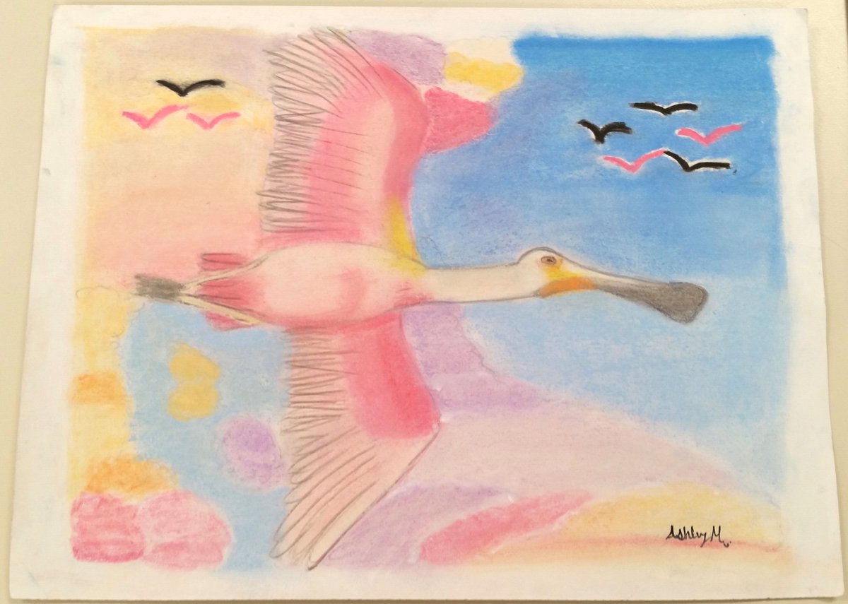 BCISD's tweet photo. #BCJH art students placed in Matagorda Bay Birdfest's youth art contest. Congrats to Dallas C, 2nd; Jasmine G, 3rd: &amp; HM to Aracely P &amp; Ashley M. #BCJH art teachers are Leslie Stevens &amp; Renee Lawrence @BayCityJuniorH1 @bchsreyes @khicklBCISD @ashleyhaggBCISD @PrincipalMDodd https://t.co/8ZO93vk7TC
