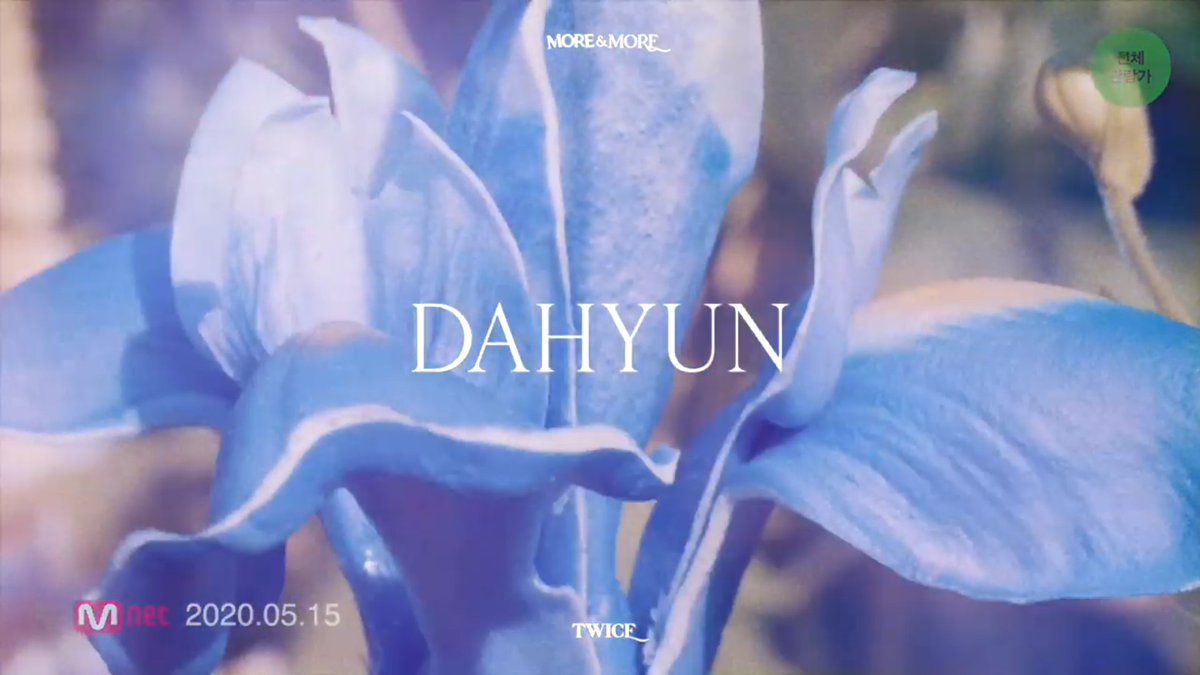 Iris Flower(Dahyun)I think this is the flower in Dahyun's concept film.-This flower is associated with faith, wisdom, cherished friendship, hope and valour.-has been recognized as the dancing spirit. @JYPETWICE #MOREandMORE  #TWICE  #DAHYUN