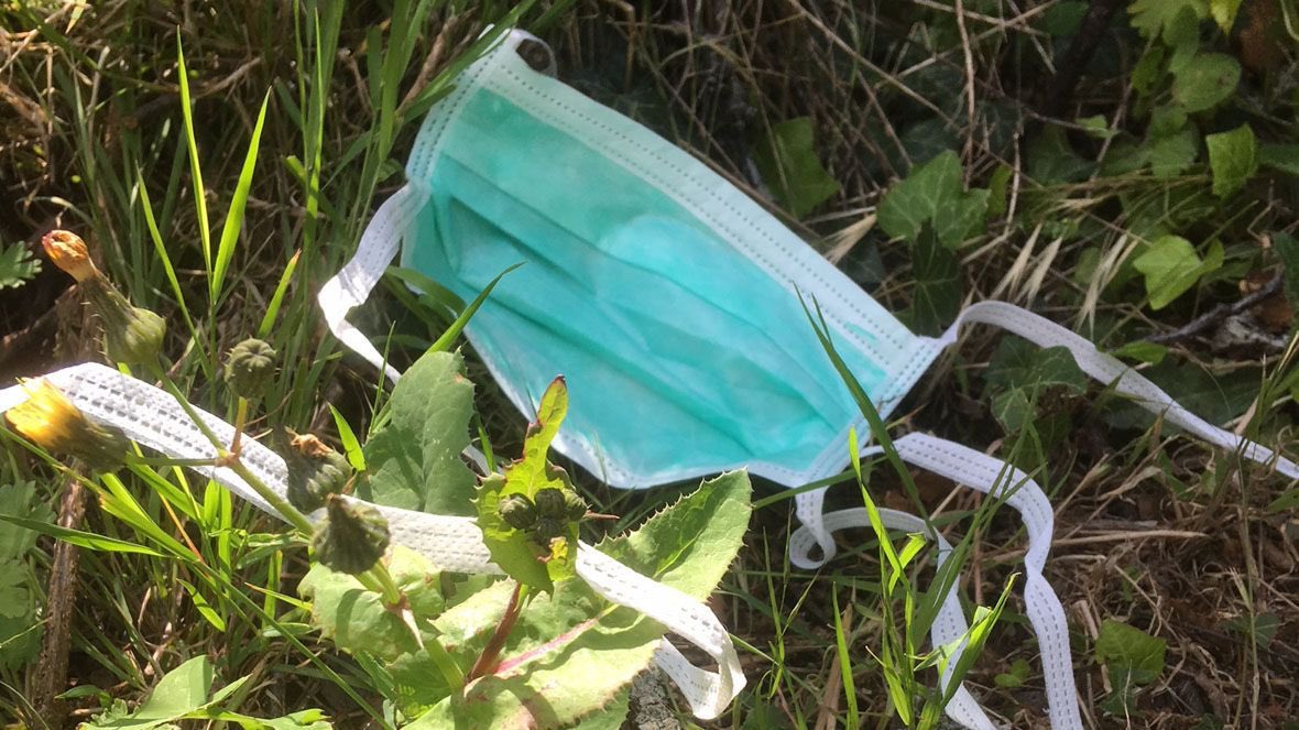 La_Pollice's tweet image. Coucou les porcs, il faut 450 ans à un masque chirurgical pour se décomposer dans la nature #SachezLe