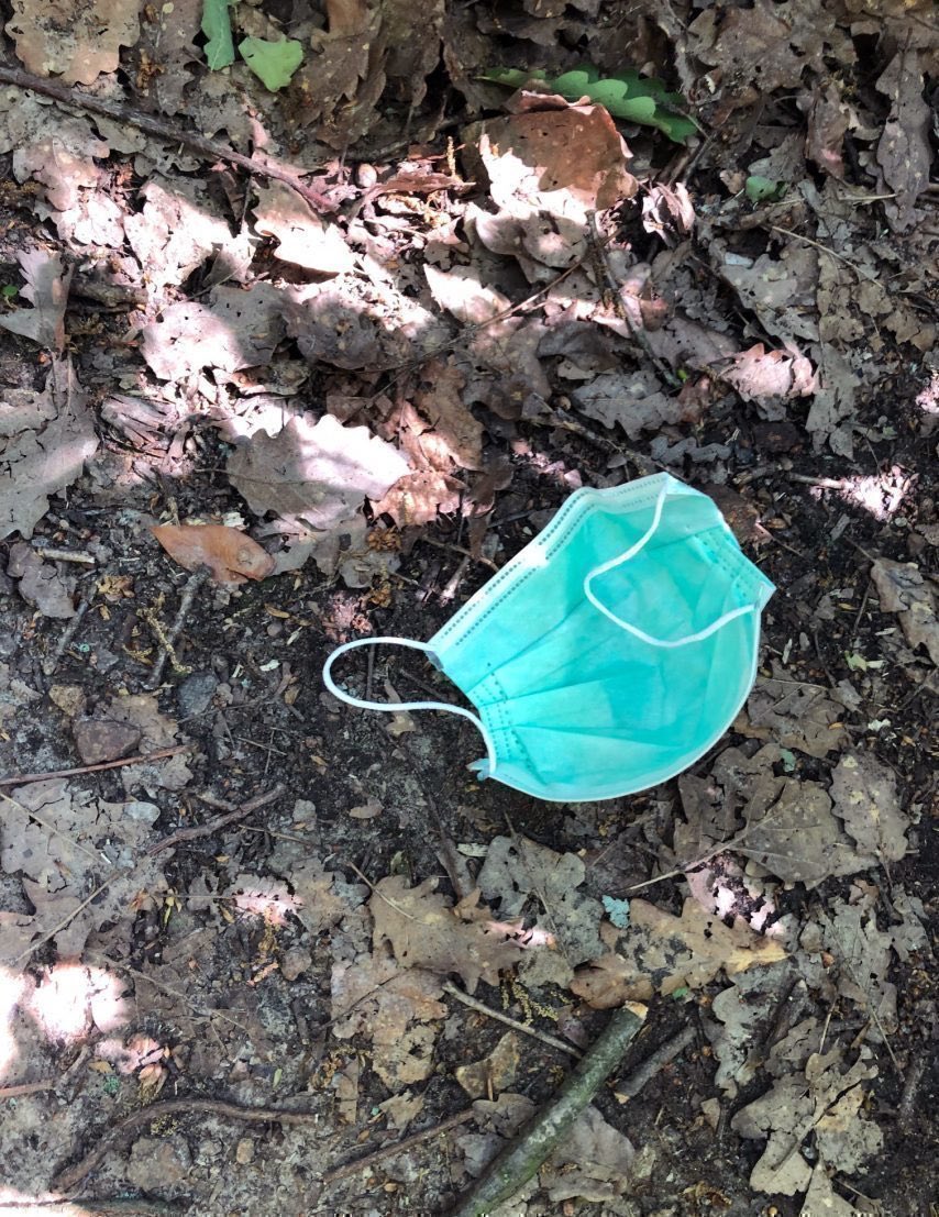 La_Pollice's tweet image. Coucou les porcs, il faut 450 ans à un masque chirurgical pour se décomposer dans la nature #SachezLe