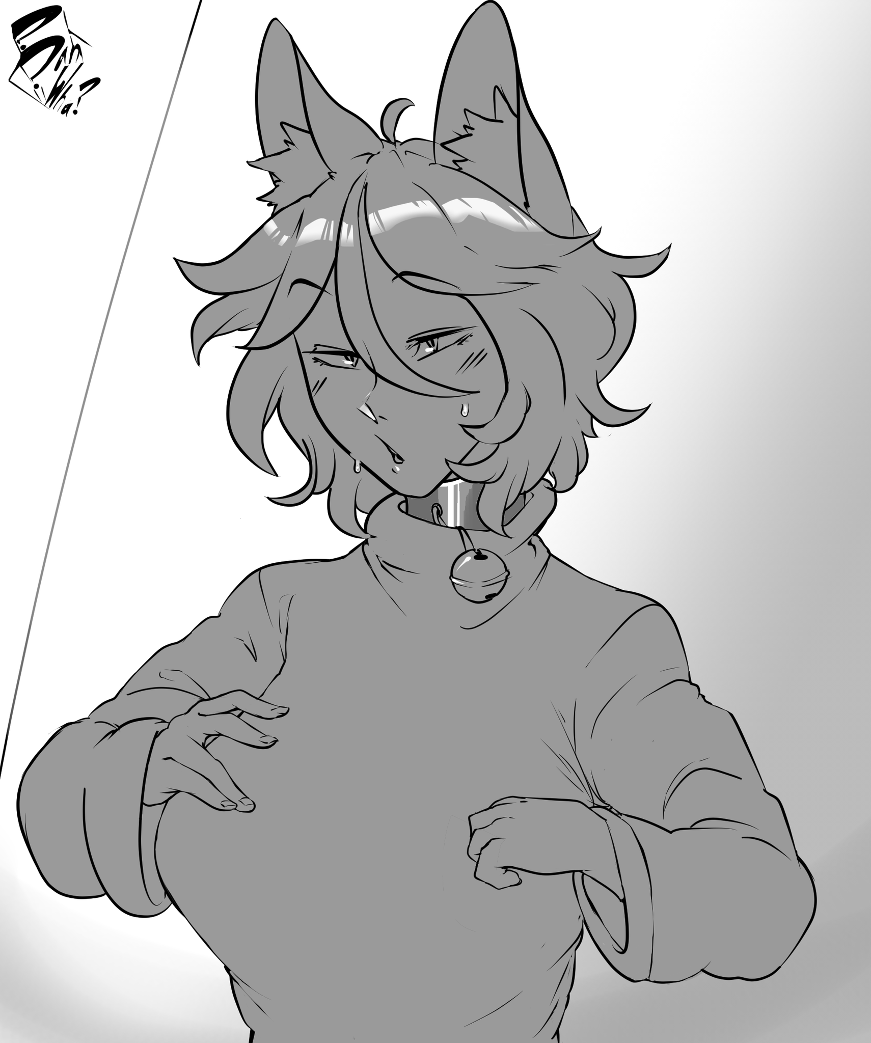 catgirls go wha on Twitter "sorreh for a dead account. take a lewd