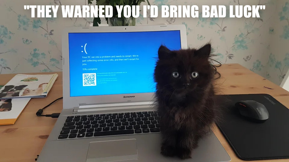 ProgrammerCats's tweet image. Black cat using your PC is a bad omen. #memes #catmeme #programmerhumor #codinglife #codinghumor #codingmemes #dankmemes