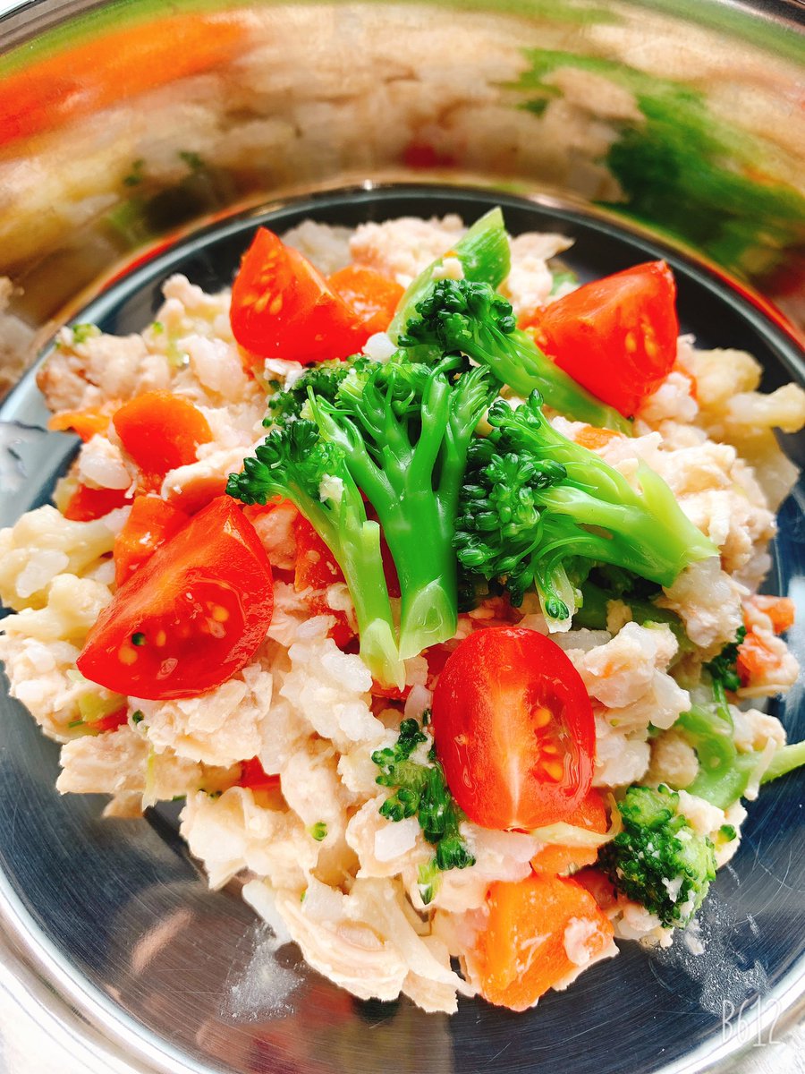 Marinchan03 マリンちゃんのおうちごはん いつもはドライフードだけど 今日は作ってみました W マリンちゃん美味しそうに食べてくれて完食してくれました おうちごはん トイプー 犬 犬のいる暮らし 犬画像 T Co