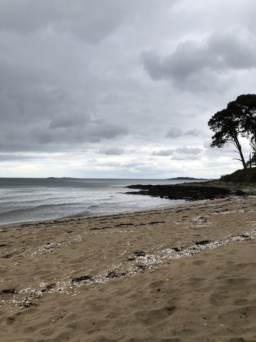 thegirlandyoga's tweet photo. All I’m missing is the sunshine and a pina colada 😎🧉 #shellbeds #queensferry #houndpoint #dalmenyestate https://t.co/qHCQ6ZQa5T