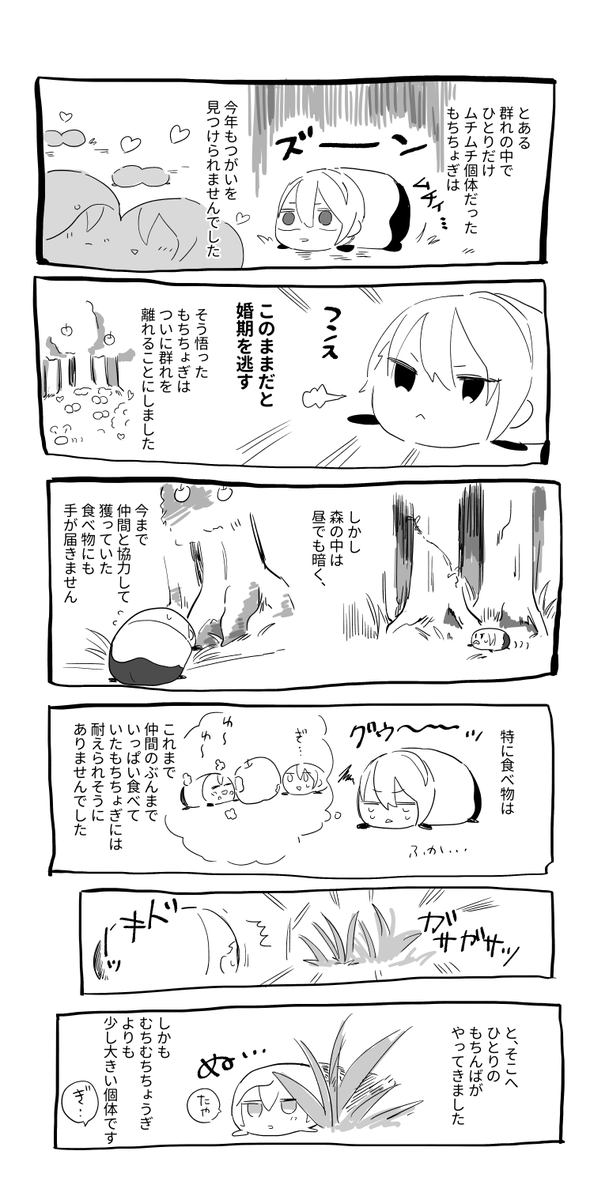 むちむちのもちちょぎ(くにちょぎ) 
