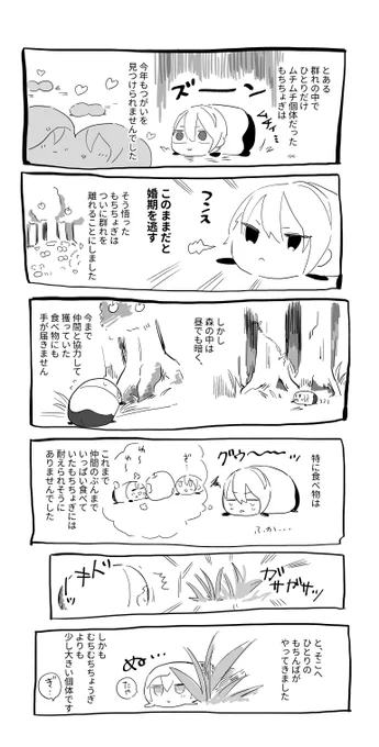 むちむちのもちちょぎ(くにちょぎ) 