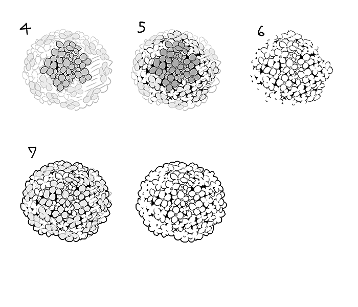 いちあっぷ アジサイの描き方 和の花 植物の描き方4選 椿 乙女椿 紫陽花 桜 いちあっぷ T Co Zmcikldant 絵が上手くなる記事はコレ