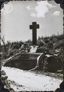 View image on Twitter