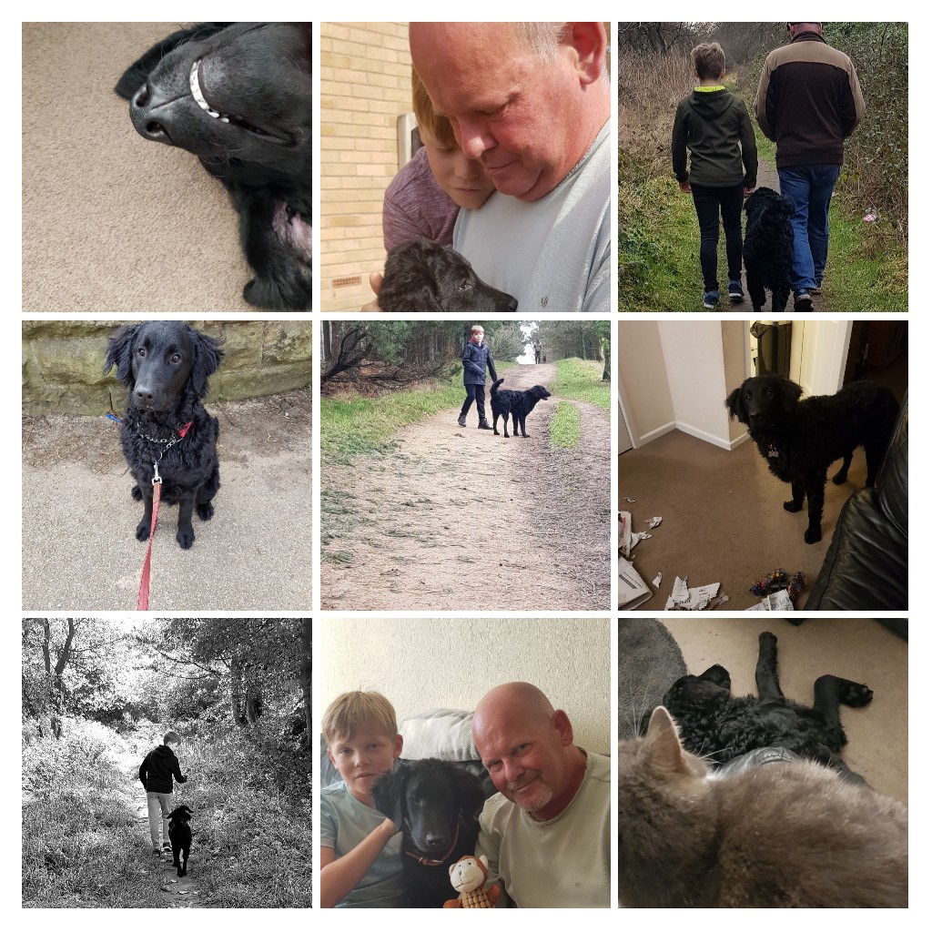 Dawn Redwood (@DawnDredwood) / Posts / X