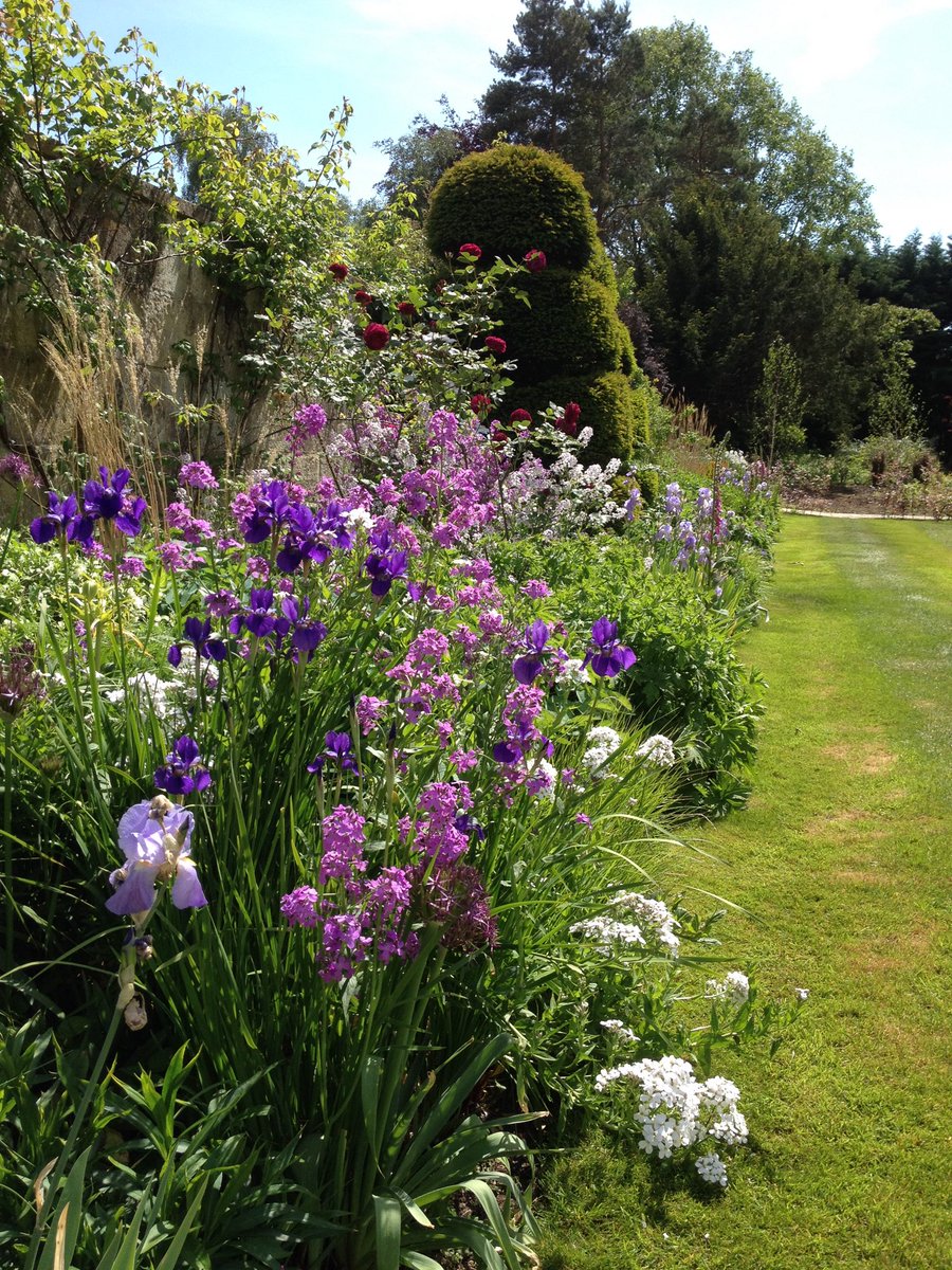 Jane Moore (@janethegardener) on Twitter photo Today I'm weeding rather than waltzing around <a href="/The_RHS/">The RHS</a> #chelseaflowershow <a href="/RHSPressOffice/">RHSPressOffice</a> but hey the borders <a href="/Thebathpriory/">The Bath Priory</a> <a href="/BrownswordHotel/">Brownsword Hotels</a> are looking good #thoughisaysomyself Today I'm weeding rather than waltzing around <a href="/The_RHS/">The RHS</a> #chelseaflowershow <a href="/RHSPressOffice/">RHSPressOffice</a> but hey the borders <a href="/Thebathpriory/">The Bath Priory</a> <a href="/BrownswordHotel/">Brownsword Hotels</a> are looking good #thoughisaysomyself