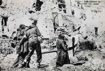 View image on Twitter