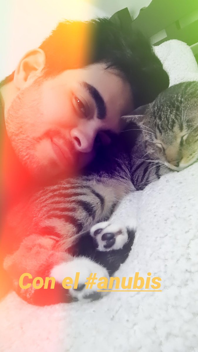PerkazJhon's tweet photo. Definitivamente que hermoso es tener una mascota https://t.co/Dlb1NhS9WA