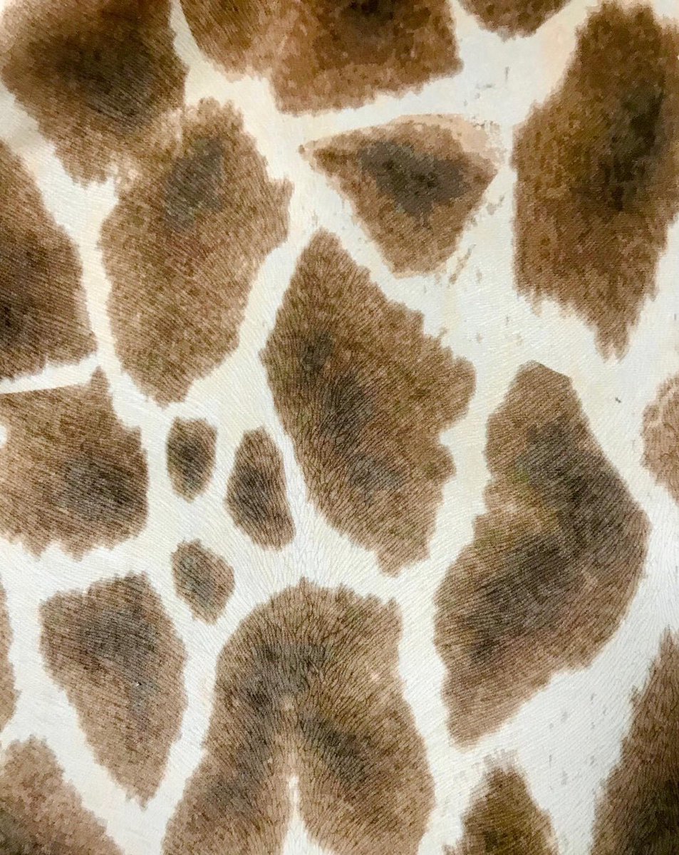 Happy Monday people! Here’s our amazing Animal print “Madagascar” on the right - It’s textured Hyde like fabric  is sooo beautiful - We just know you will want a piece of it 🦒 ❤️
#giraffefabric #giraffeprint #animalprint #animaldesign #printedfabric #velvetprint #printeddesign