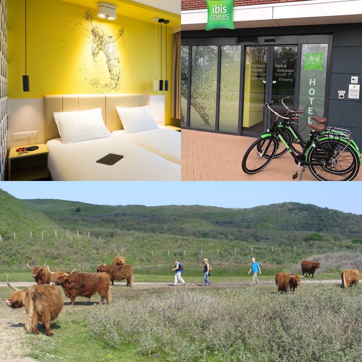 Al plannen voor Hemelvaart? Het wordt heerlijk weer 🌞 Onze tip; fietsen door Nationaal Park Zuid-Kennemerland <a href="/NPZK/">NP Zuid-Kennemerland</a> 
Fietshuur is inclusief in ons Hemelvaartsarrangement 🚲  

ibisstyleshaarlemcity.nl/nl/packages/2-… 
#1.5meterafstand #haarlem #fietsen #duinen #zee #strand #hotel #arrangement