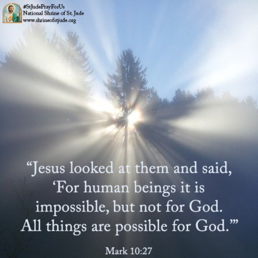 ShrineofStJude's tweet photo. “Jesus looked at them and said, ‘For human beings it is impossible, but not for God. All things are possible for God.’” - Mark 10:27
-
#motivationmonday #mondaymotivation #bible #mark #bibleverse #catholic #Jesus #human #impossible #possible #God #allthingsarepossiblewithGod https://t.co/rInPOLYWDw