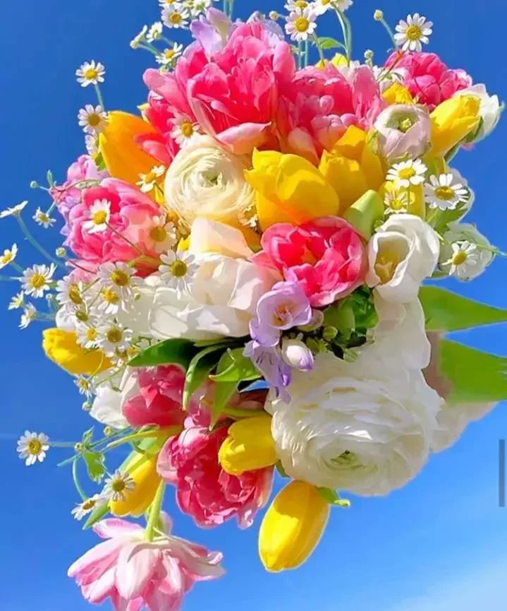 UBArqSLHGyxvQhh's tweet photo. https://t.co/g4myIYc6wX
