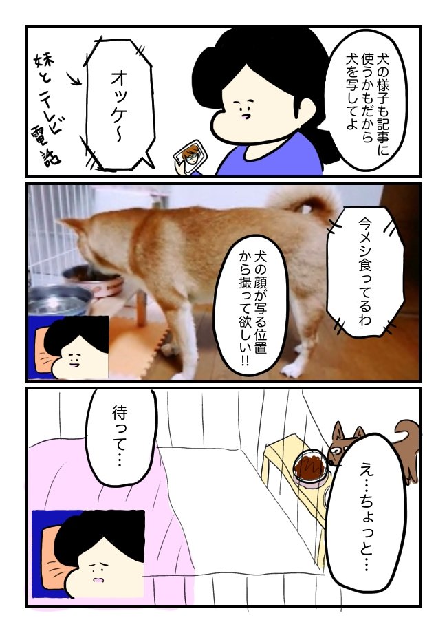 引きニートの弟が黒毛和牛を料理した記事のこぼれ話です!!

弟の黒毛和牛記事、振り返り by 天野アマゾネス https://t.co/e3LMLwsmUw 