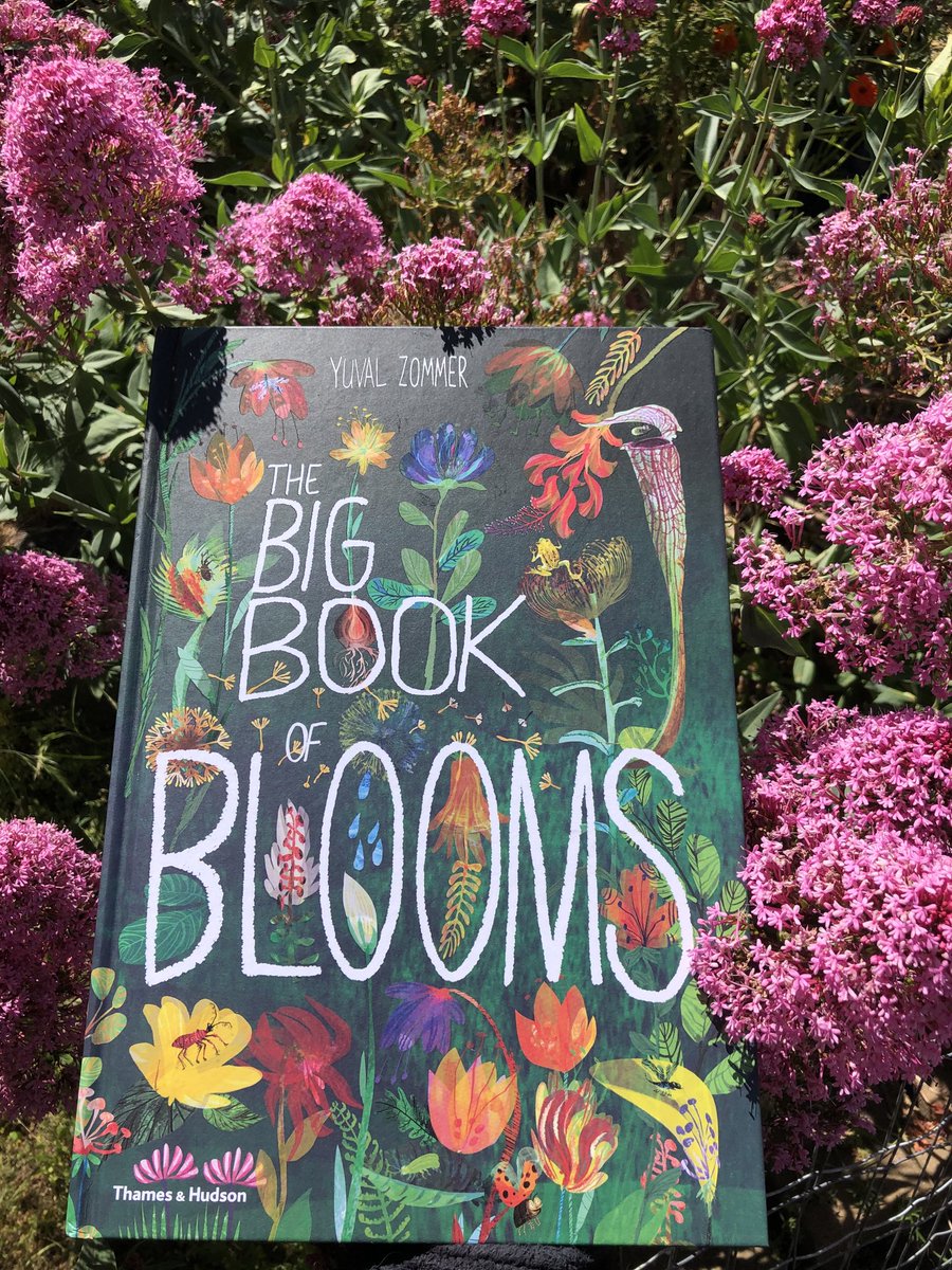 I bought it for a friend but had to pose it. Gorgeous illustrations and text #TheBigBookOfBlooms by ⁦@yuvalzommer⁩