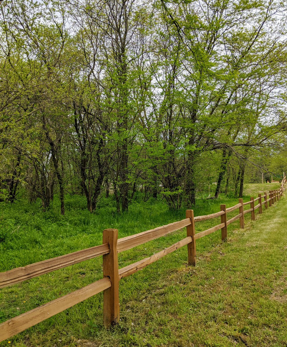 LindaLThomason's tweet photo. The grass is greener...@NEGameandParks @NebraskaTourism @NeblandMagazine #explorenebraska https://t.co/tzywrdIW59