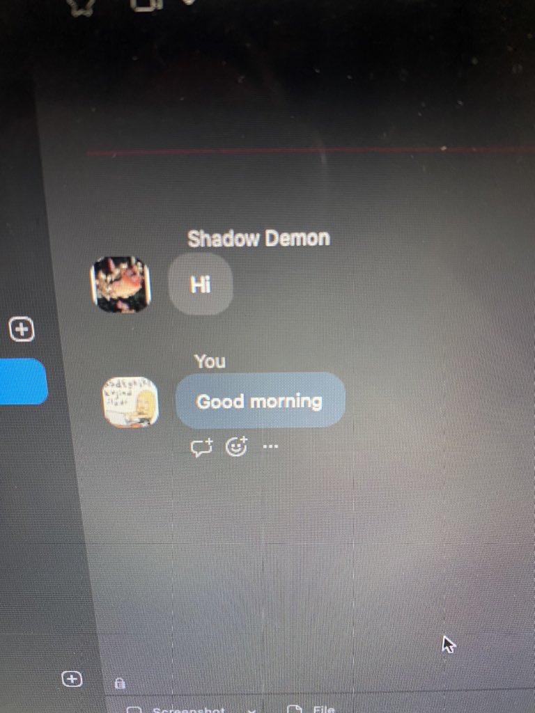 Oh, you know, just a little Tech troubleshooting through Zoom chat this morning with Shadow Demon. #mrsrainsreads #distancelearning #elementaryschoollife