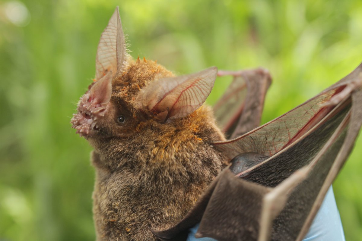 The Explorers Club tweet media